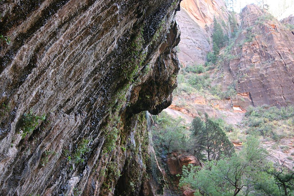 Zion Picture