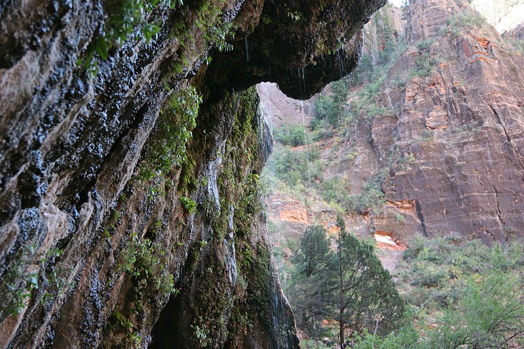 Zion Picture