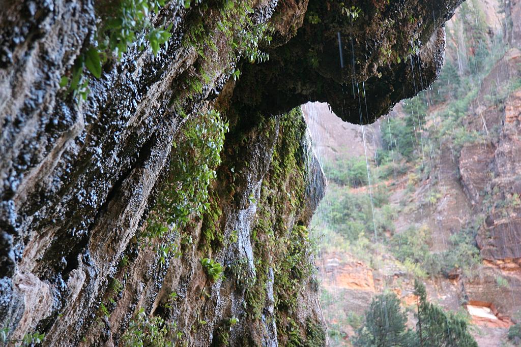 Zion Picture