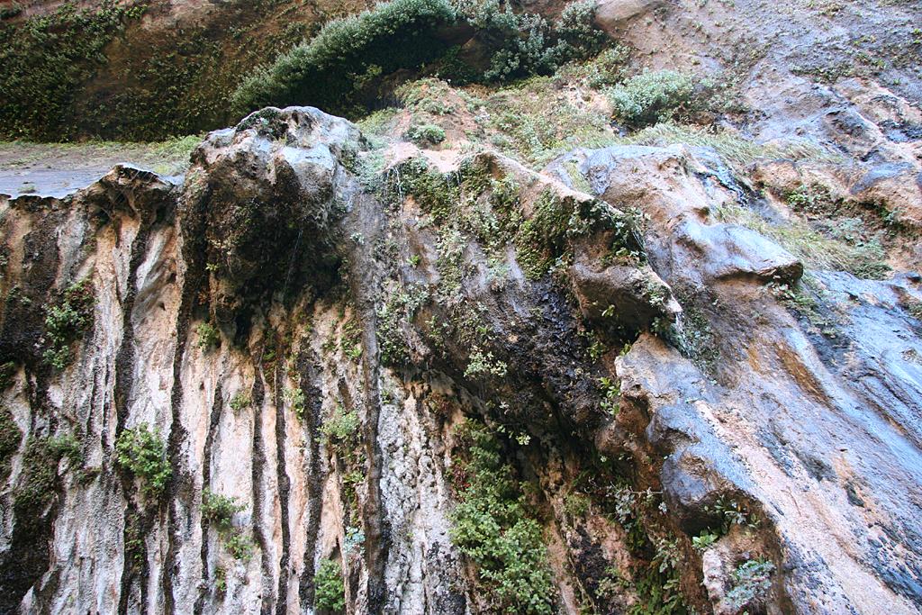 Zion Picture