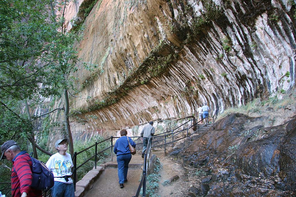 Zion Picture