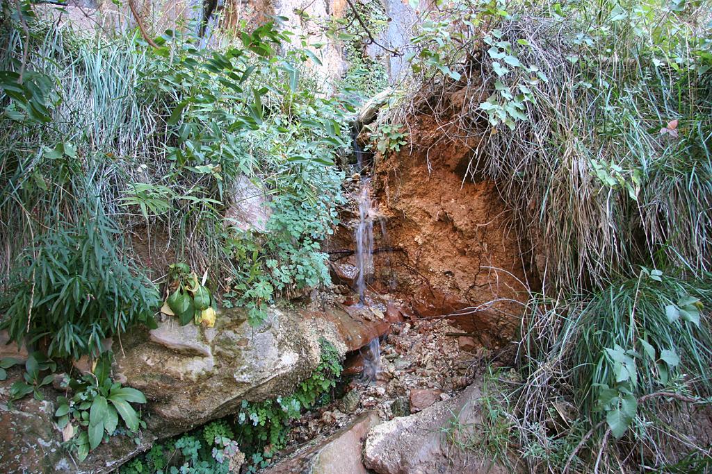 Zion Picture