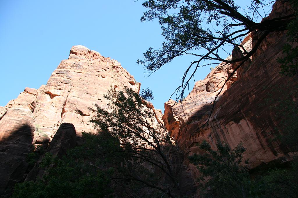 Zion Picture