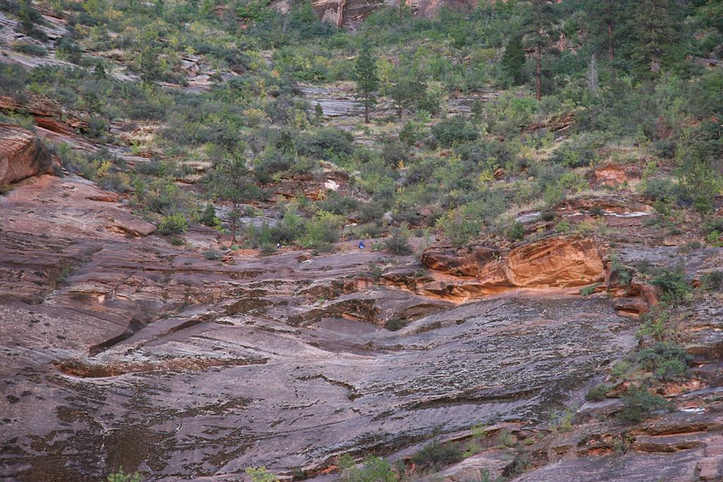 Zion Picture