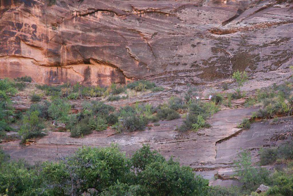Zion Picture