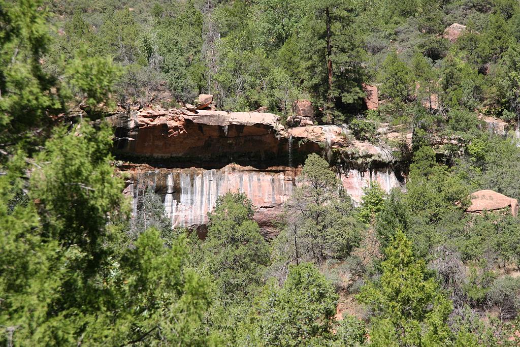 Zion Picture