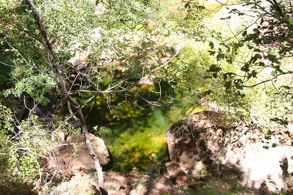 Zion Picture