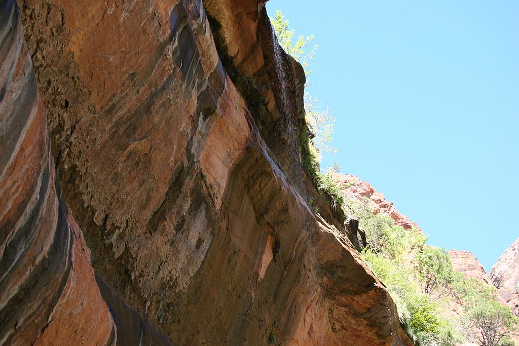 Zion Picture