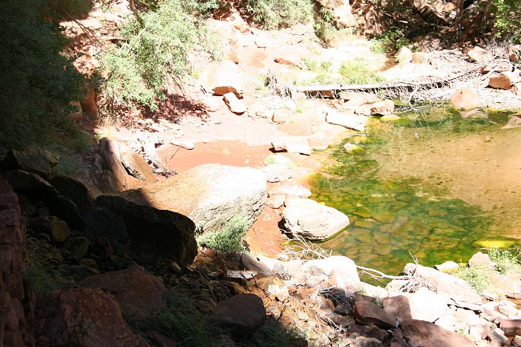 Zion Picture