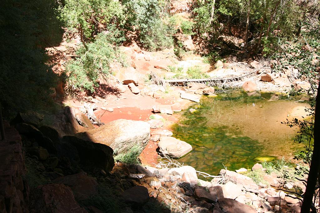 Zion Picture