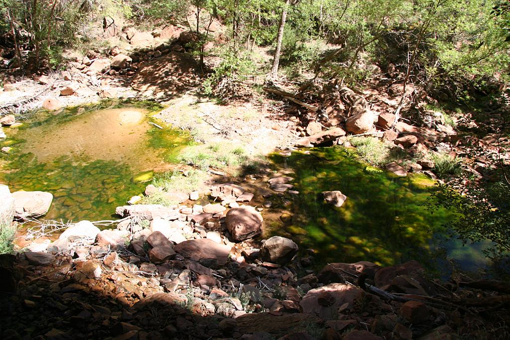 Zion Picture