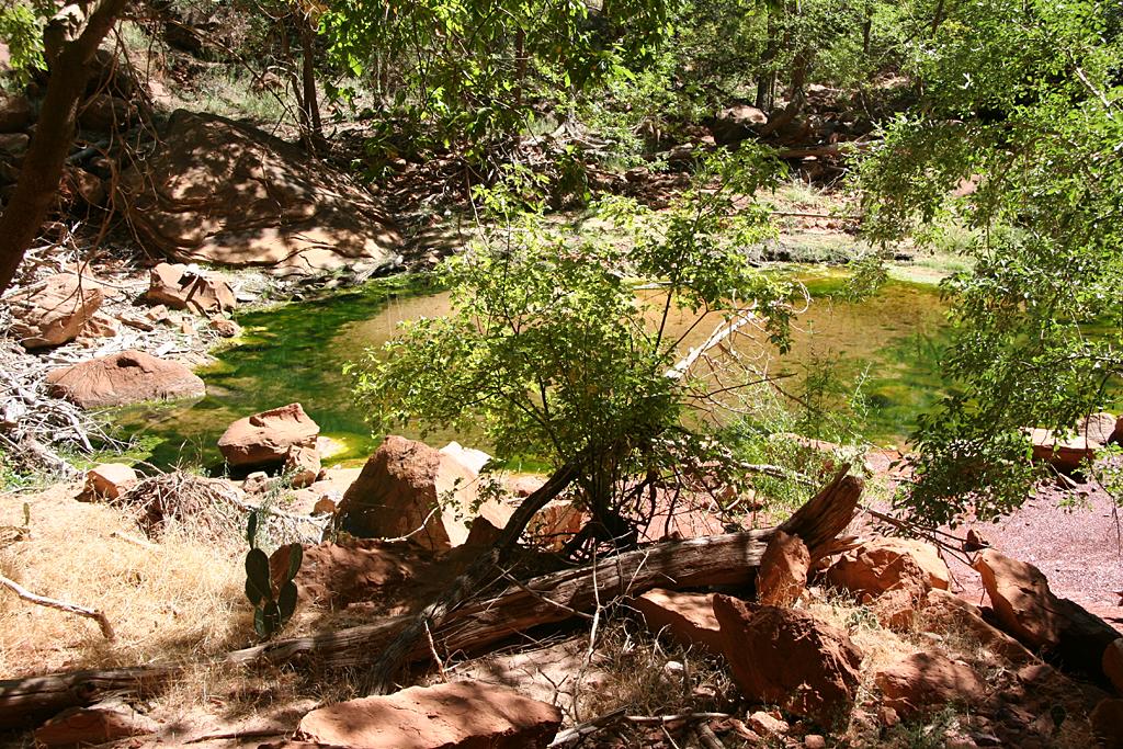 Zion Picture