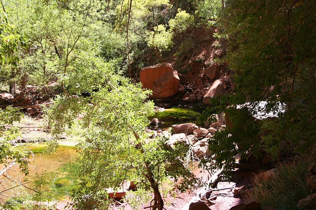 Zion Picture