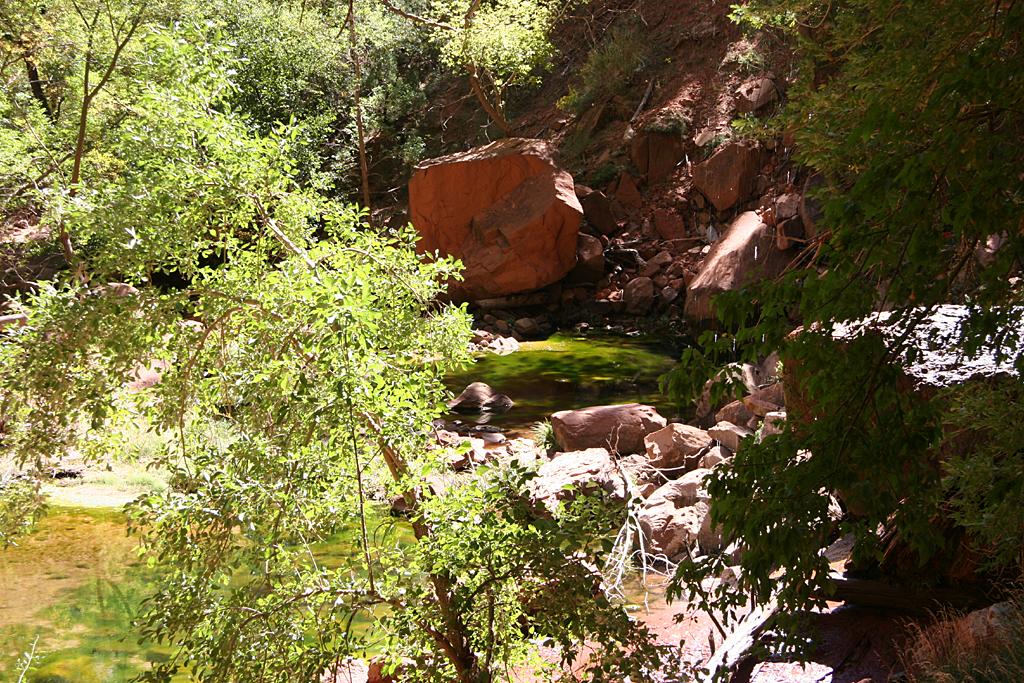 Zion Picture