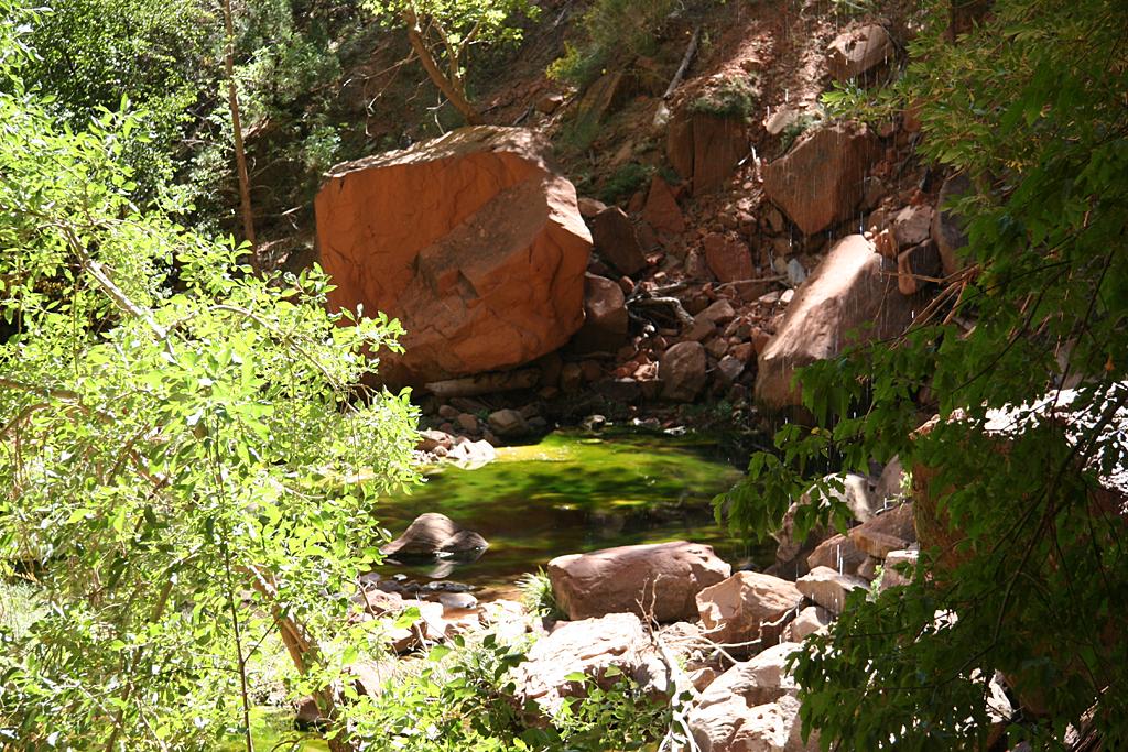 Zion Picture