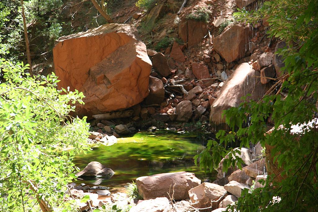 Zion Picture