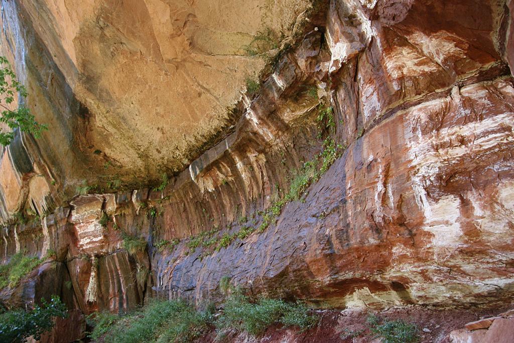 Zion Picture