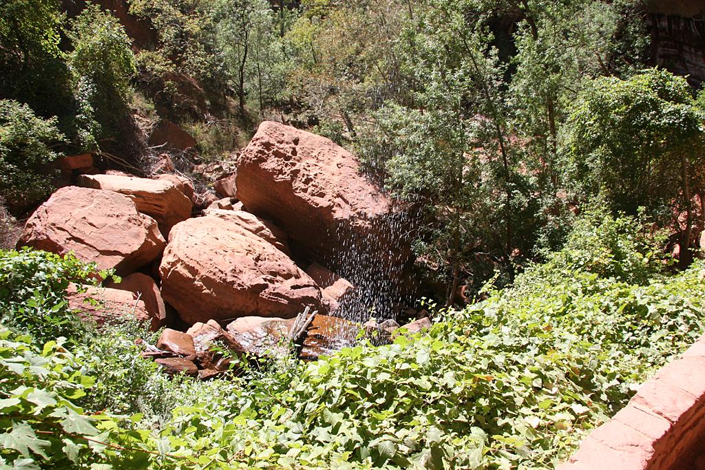 Zion Picture