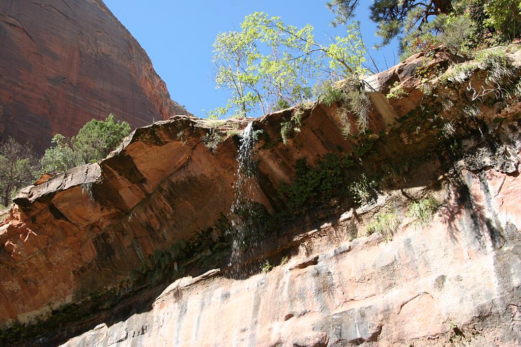 Zion Picture