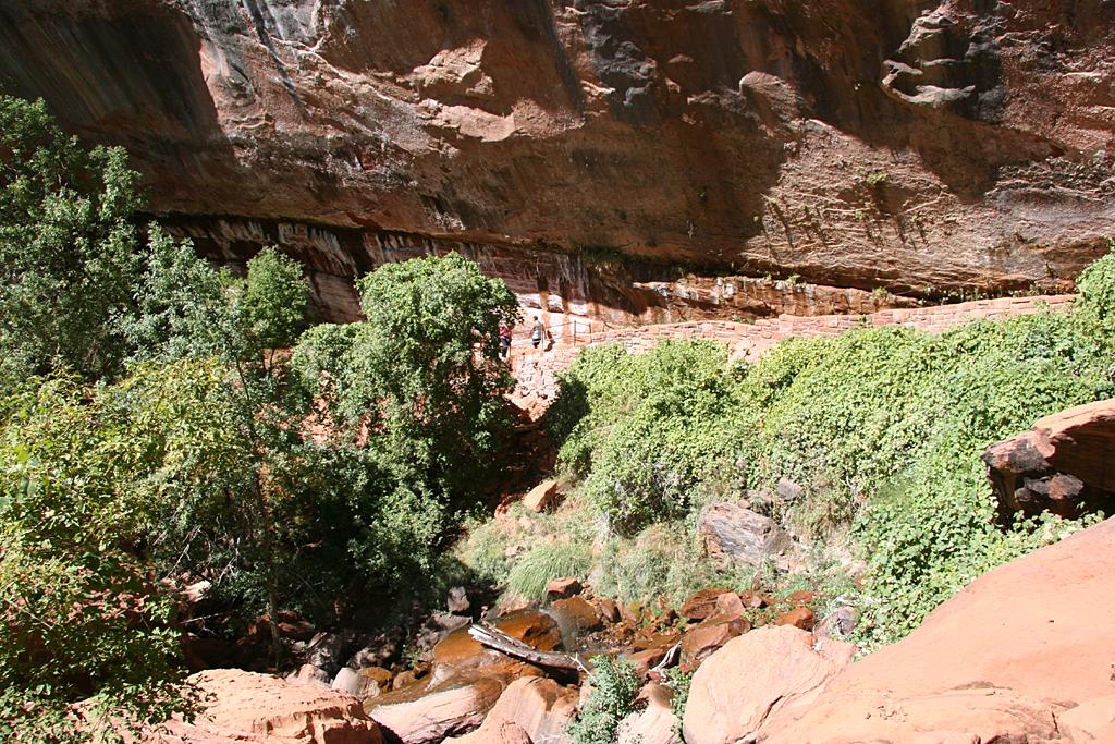 Zion Picture
