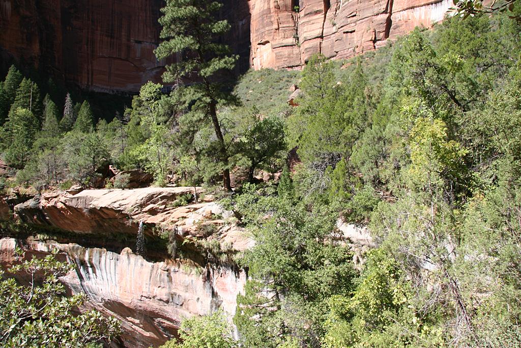 Zion Picture