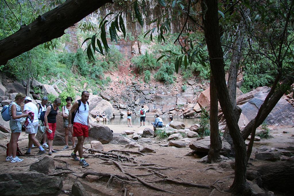 Zion Picture