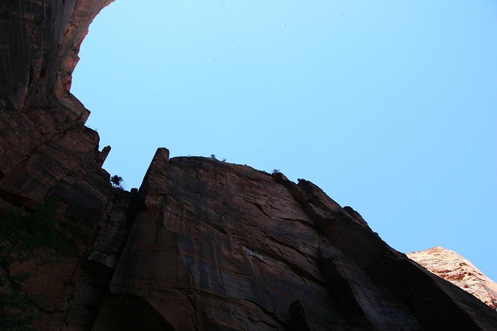 Zion Picture