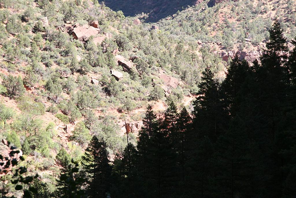 Zion Picture