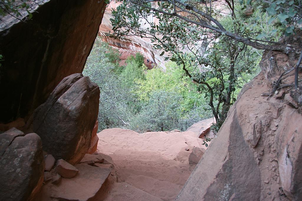 Zion Picture