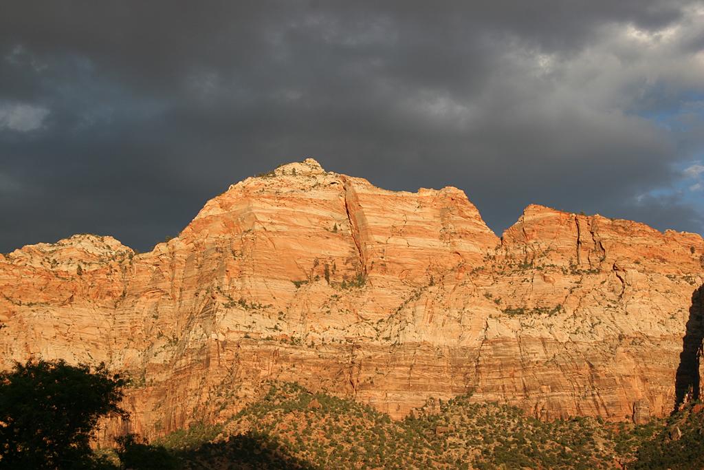 Zion Picture