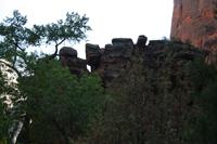 Zion Pictures