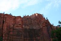 Zion Pictures