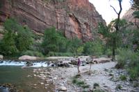 Zion Pictures