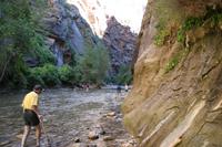 Zion Pictures