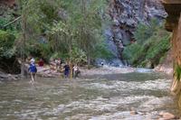 Zion Pictures