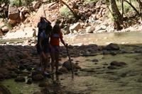 Zion Pictures