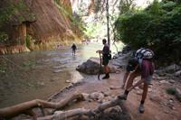 Zion Pictures