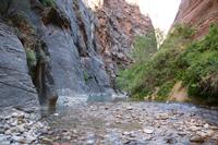 Zion Pictures