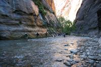 Zion Pictures