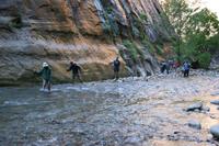 Zion Pictures