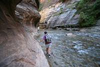 Zion Pictures