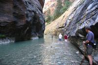Zion Pictures