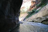 Zion Pictures