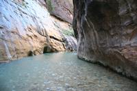 Zion Pictures