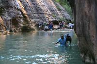 Zion Pictures