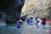 Zion Pictures