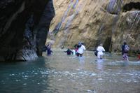 Zion Pictures