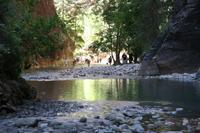 Zion Pictures