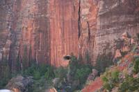 Zion Pictures