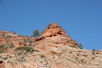Zion Pictures